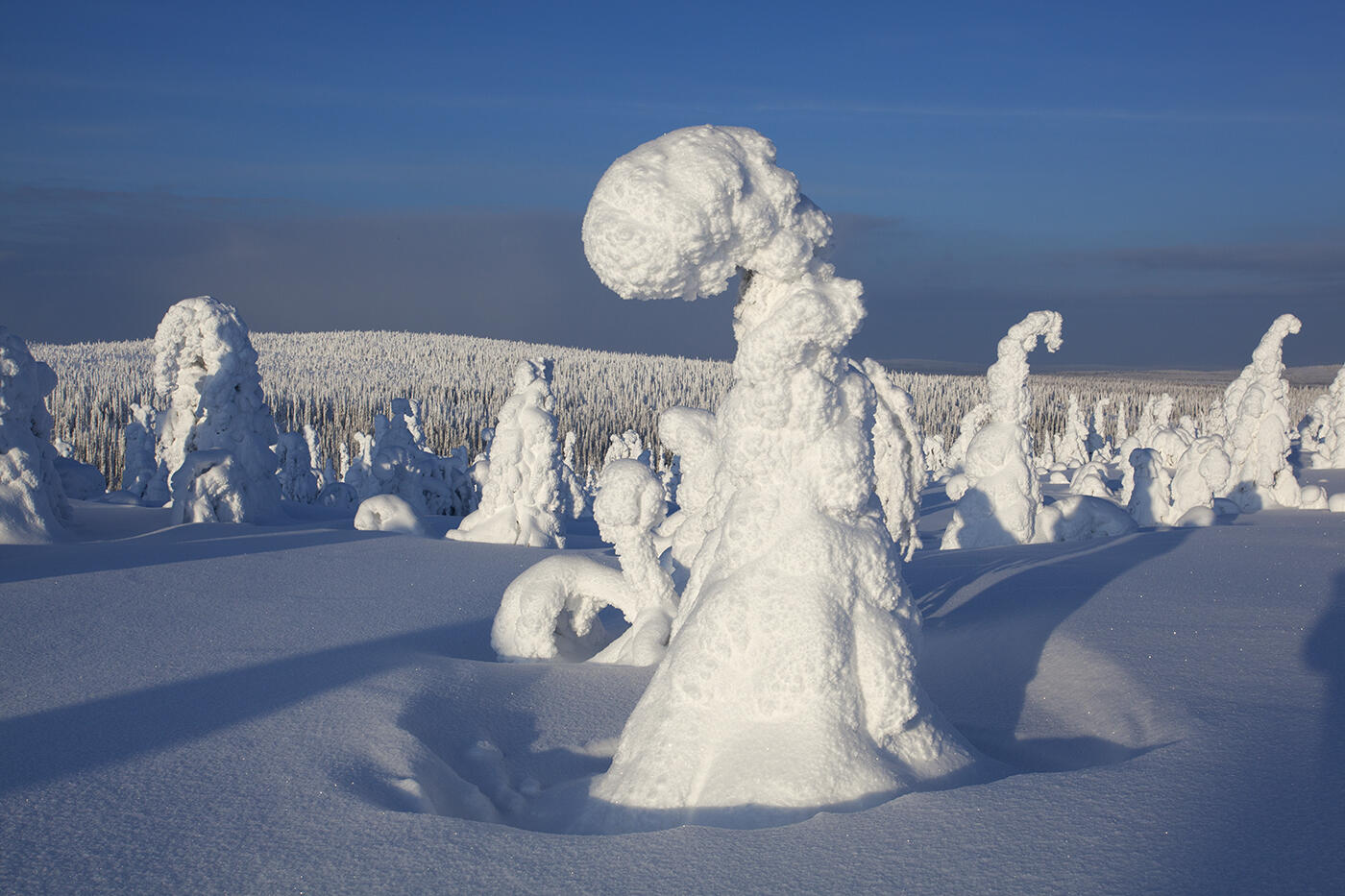 Winter auf dem Riisitunturi, Foto: Christoph Robiller