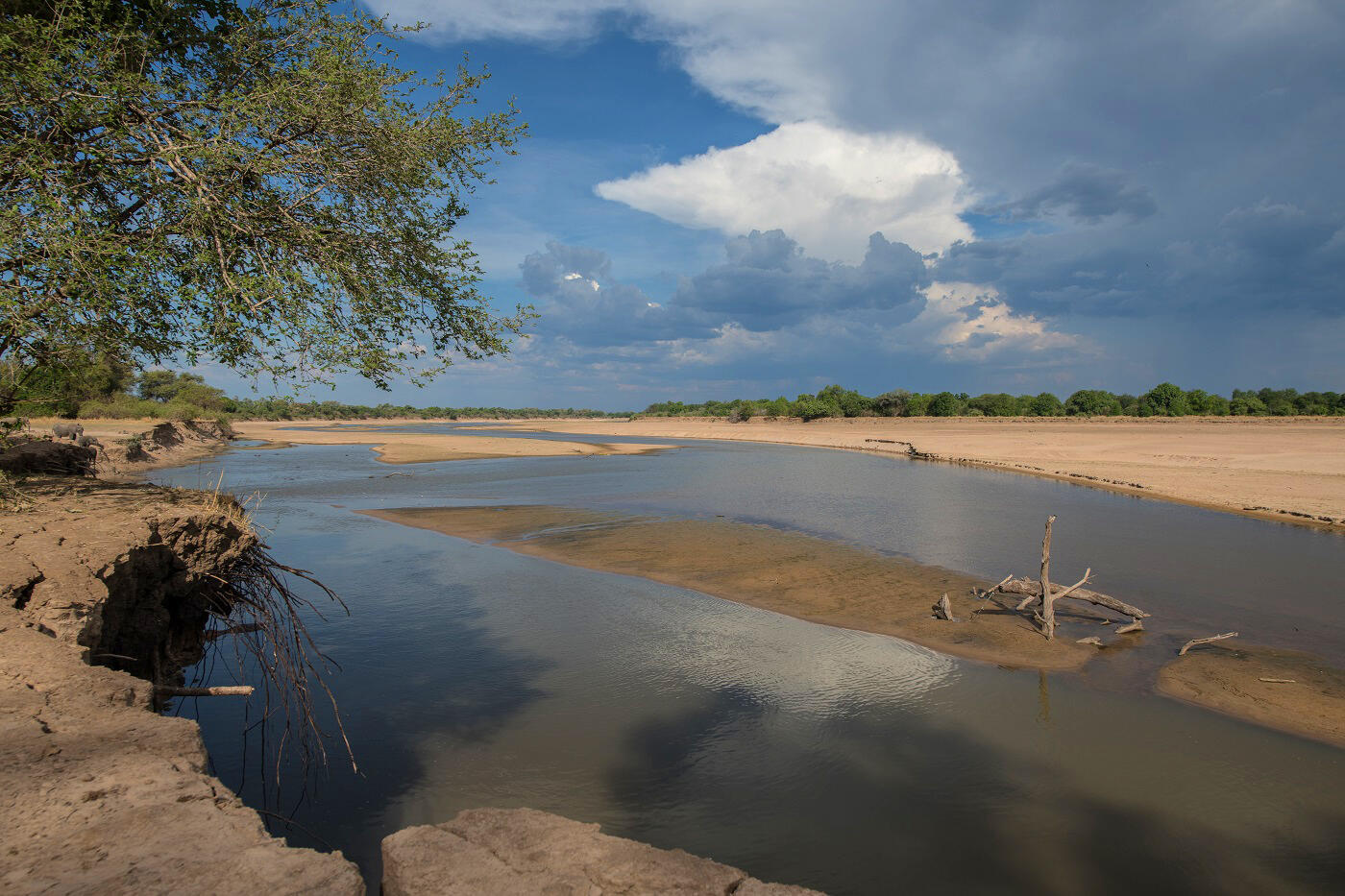 South Luangwa Nationalpark, Sambia, Foto: Peter Wächtershäuser
