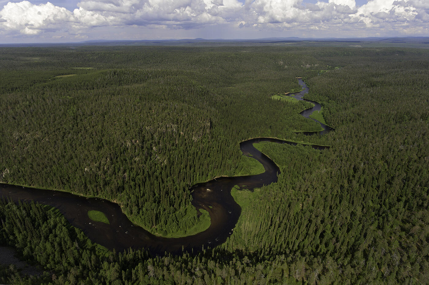 Kitkajoki, Oulanka-NP, Finnland, Foto: Christoph Robiller