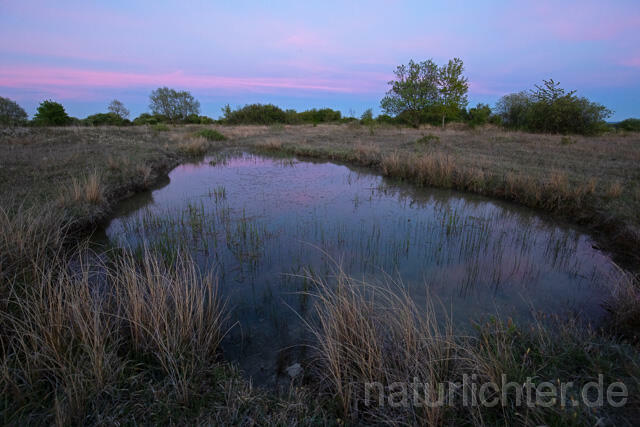 R13446 Kleingewässer, Teich in offener Landschaft nach Sonnenuntergang - C.Robiller/Naturlichter.de