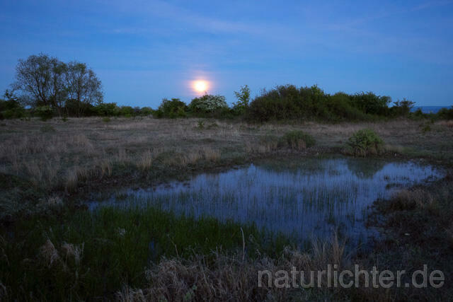R13449 Kleingewässer, Teich in offener Landschaft mit Mond - C.Robiller/Naturlichter.de