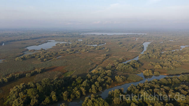 R14280 Donaudelta, Luftaufnahme, Danube Delta, Aerial photo - Christoph Robiller