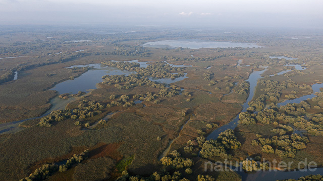 R14281 Donaudelta, Luftaufnahme, Danube Delta, Aerial photo - Christoph Robiller