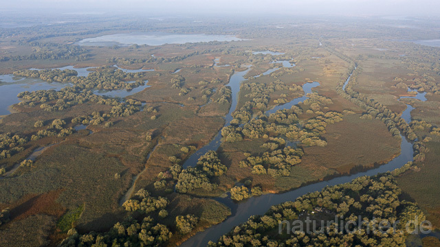 R14282 Donaudelta, Luftaufnahme, Danube Delta, Aerial photo - Christoph Robiller