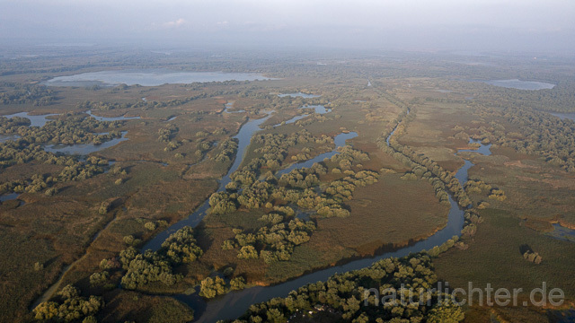 R14283 Donaudelta, Luftaufnahme, Danube Delta, Aerial photo - Christoph Robiller