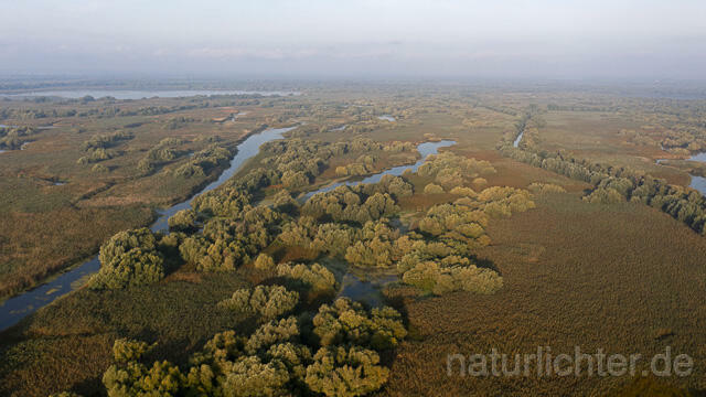 R14286 Donaudelta, Luftaufnahme, Danube Delta, Aerial photo - Christoph Robiller