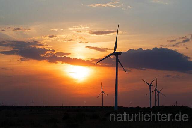 R16406 Windräder Kap Kaliakra, Windkraft Bulgarien - Christoph Robiller