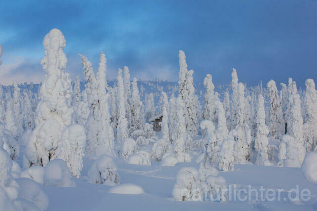 R10010 Riisitunturi im Winter, Finnland, Kuusamo - Christoph Robiller