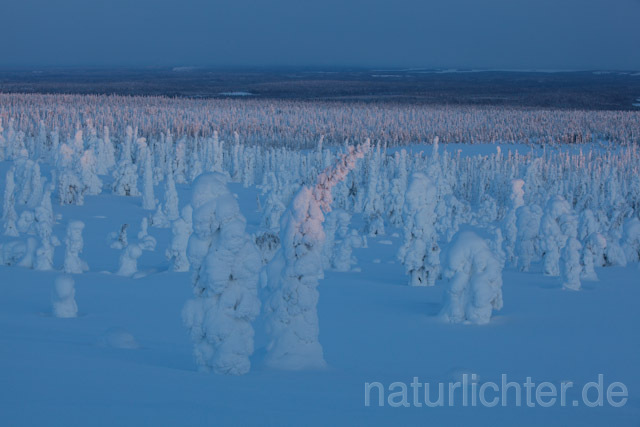 R10057 Riisitunturi im Winter, Finnland, Kuusamo - Christoph Robiller