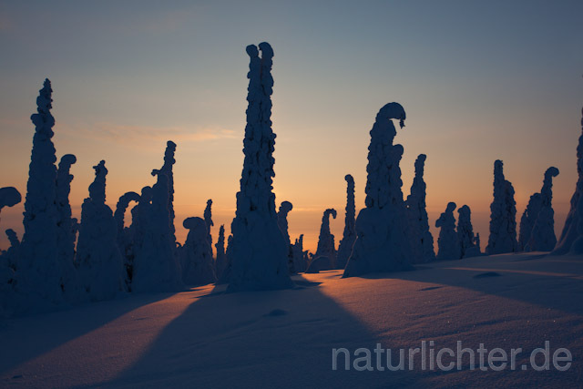 R10067 Riisitunturi im Winter, Finnland, Kuusamo - Christoph Robiller