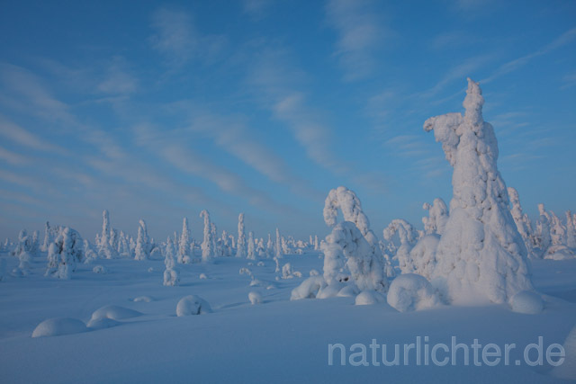 R10071 Riisitunturi im Winter, Finnland, Kuusamo - Christoph Robiller