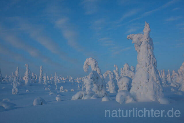 R10072 Riisitunturi im Winter, Finnland, Kuusamo - Christoph Robiller