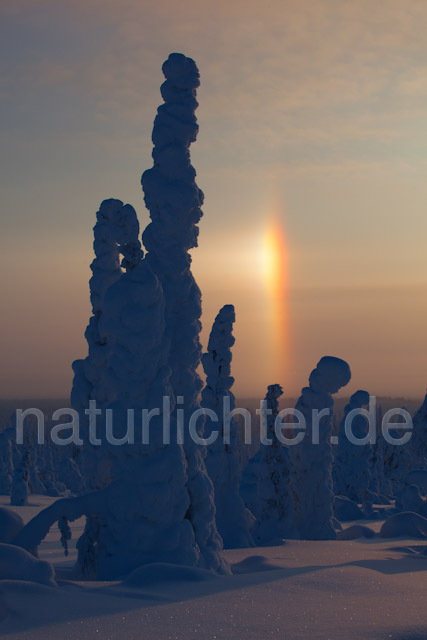 R10075 Riisitunturi im Winter, Halo, Nebensonne, Finnland - Christoph Robiller