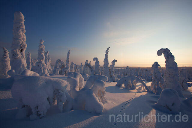 R10082 Riisitunturi im Winter, Finnland, Kuusamo - Christoph Robiller