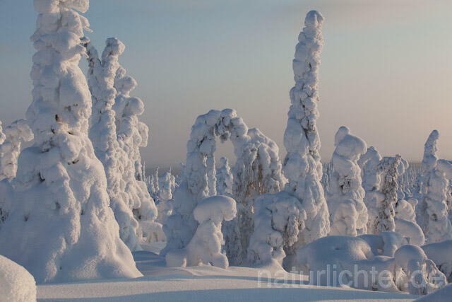 R10084 Riisitunturi im Winter, Finnland, Kuusamo - Christoph Robiller