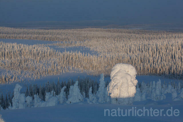 R10090 Riisitunturi im Winter, Finnland, Kuusamo - Christoph Robiller