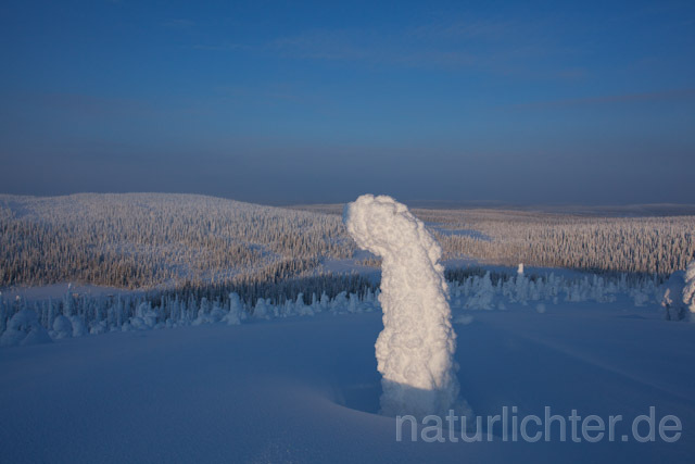 R10095 Riisitunturi im Winter, Finnland, Kuusamo - Christoph Robiller