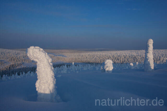 R10096 Riisitunturi im Winter, Finnland, Kuusamo - Christoph Robiller