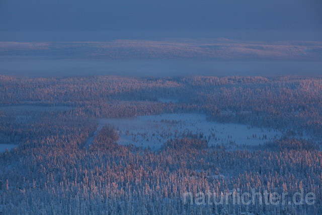 R10112 Rukatunturi im Winter, Finnland, Kuusamo - Christoph Robiller
