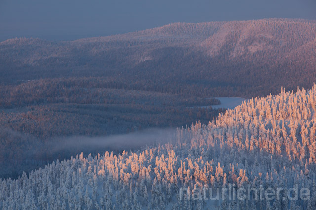R10113 Valtavaara, Valtavaara-Pyhävaara Natur Reserve, Winter, Finnland, Kuusamo - Christoph Robiller