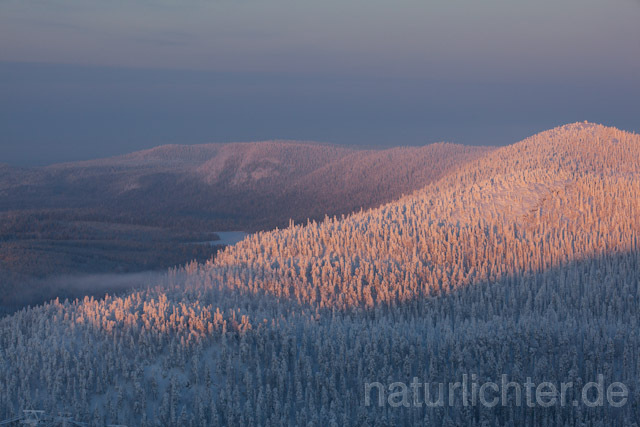 R10114 Valtavaara, Valtavaara-Pyhävaara Natur Reserve, Winter, Finnland, Kuusamo - Christoph Robiller