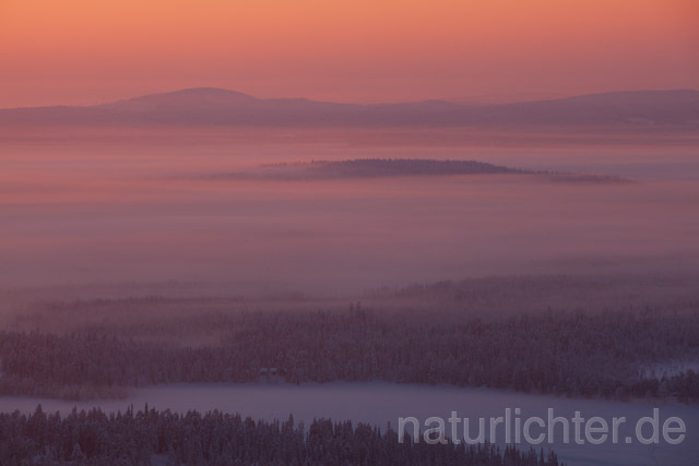 R10125 Rukatunturi, Winter, Finnland, Kuusamo - Christoph Robiller