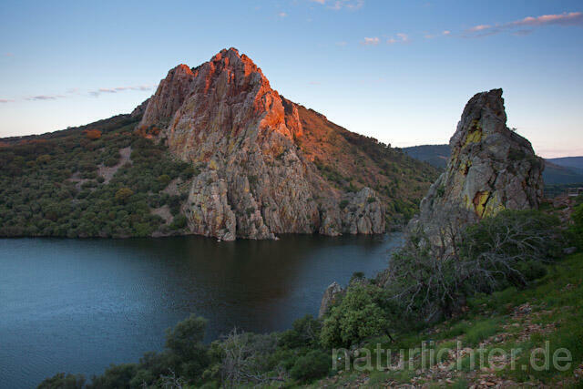 R10441 Geierfelsen, Penafalcon, Nationalpark Monfragüe, Extremadura - Christoph Robiller