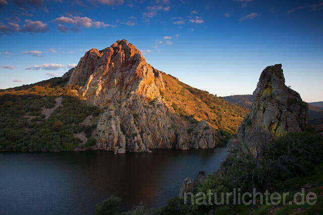 R10446 Geierfelsen, Penafalcon, Nationalpark Monfragüe, Extremadura - Christoph Robiller