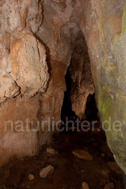 R10503 Höhle,  Höhle, Sardischer oder Genés Höhlensalamander, Speleomantes genei, Sardinian Cave Salamander - Christoph Robiller