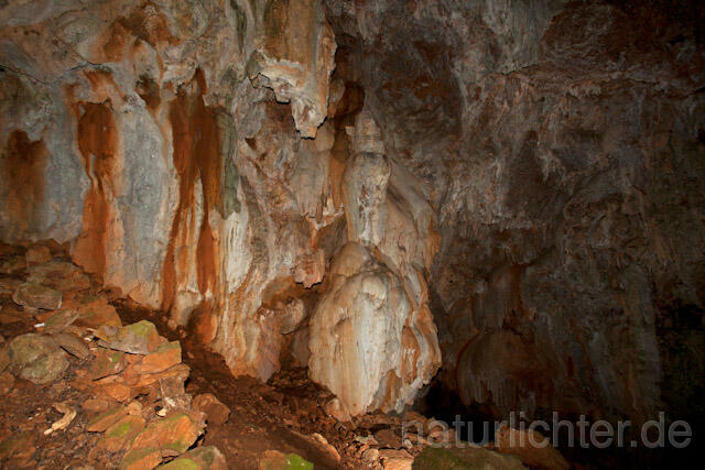 R10526 Höhle, Lebensraum des Duftenden Höhlensalamanders, Hydromantes imperialis, Imperial Cave Salamander - Christoph Robiller