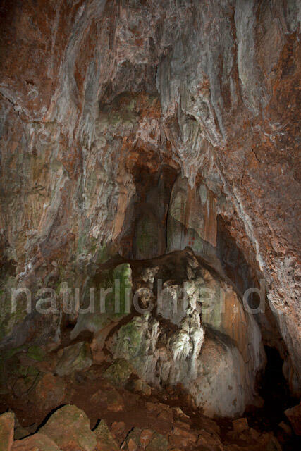 R10527 Höhle, Lebensraum des Duftenden Höhlensalamanders, Hydromantes imperialis, Imperial Cave Salamander - Christoph Robiller