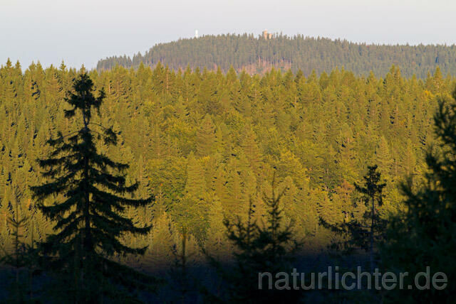 R10713 Thüringer Wald, Blick auf Hohe Warte, Elgersburg - Christoph Robiller