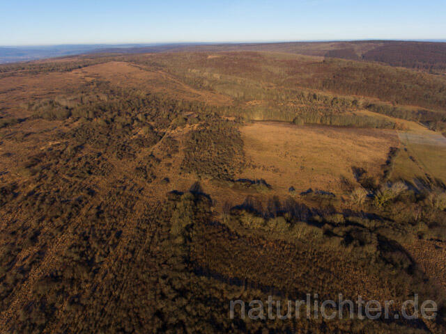 R11378 Nationalpark Hainich, Luftaufnahme - Christoph Robiller