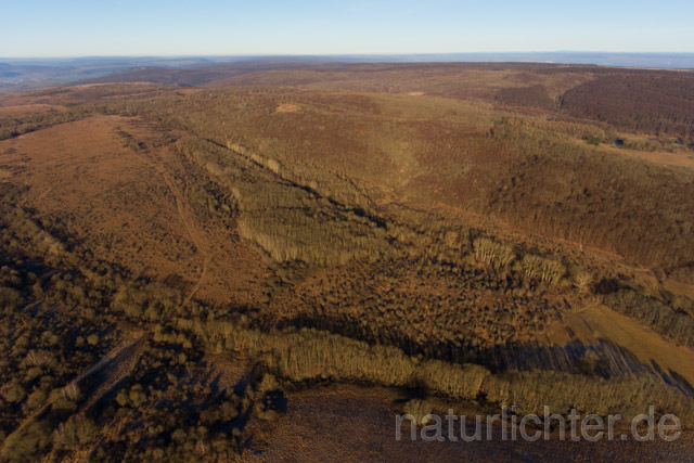R11381 Nationalpark Hainich, Luftaufnahme - Christoph Robiller