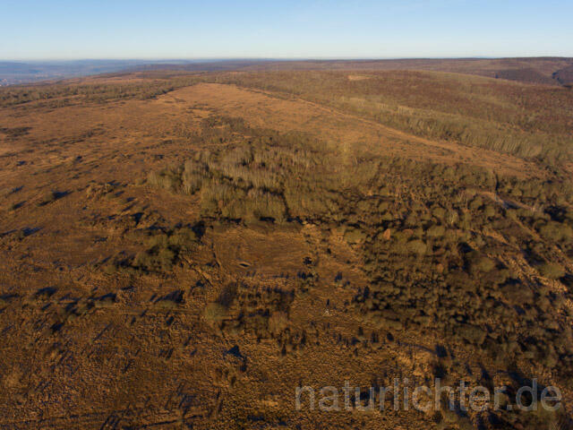 R11384 Nationalpark Hainich, Luftaufnahme - Christoph Robiller
