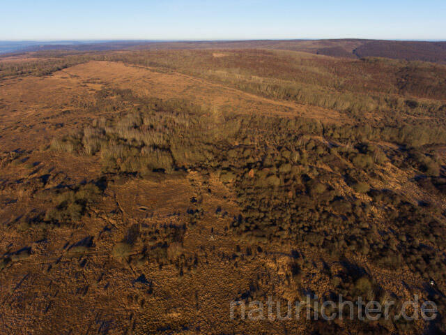 R11388 Nationalpark Hainich, Luftaufnahme - Christoph Robiller