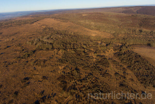 R11397 Nationalpark Hainich, Luftaufnahme - Christoph Robiller