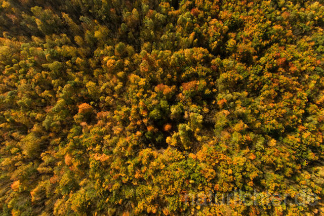 R11954 Nationalpark Hainich, Luftaufnahme - Christoph Robiller
