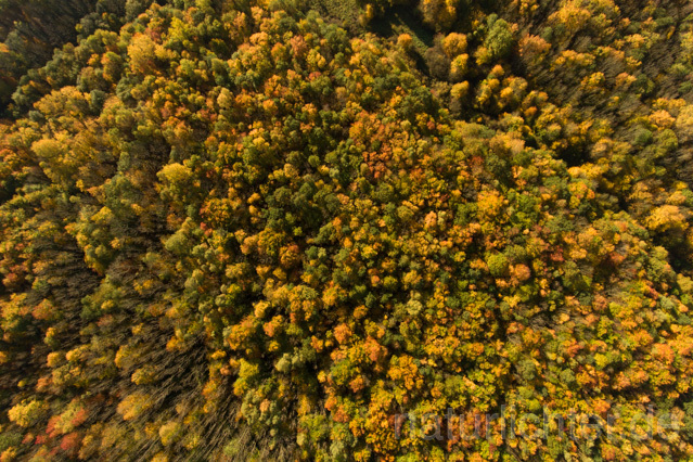 R11958 Nationalpark Hainich, Luftaufnahme - Christoph Robiller
