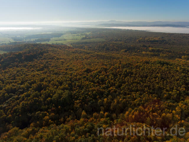 R11963 Nationalpark Hainich, Luftaufnahme - Christoph Robiller