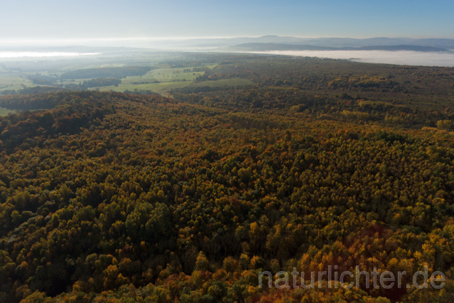 R11964 Nationalpark Hainich, Luftaufnahme - Christoph Robiller