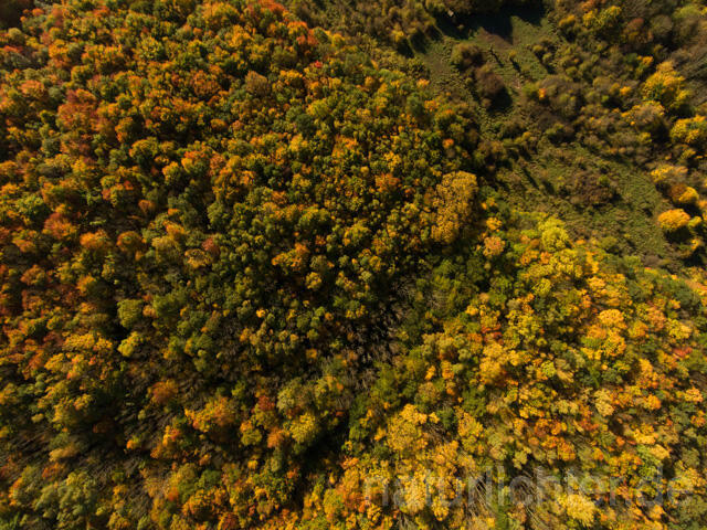 R11967 Nationalpark Hainich, Luftaufnahme - Christoph Robiller