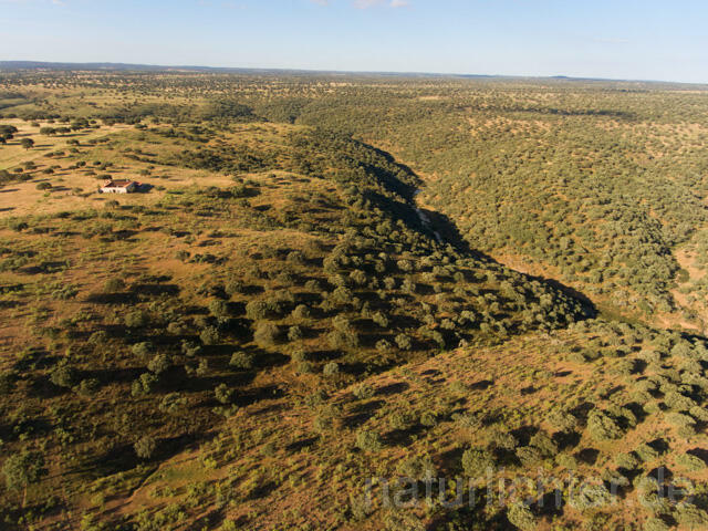 R11968 Extremadura, Nationalpark Monfragüe, Luftaufnahme
