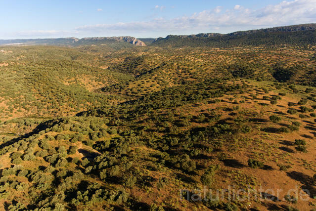 R11970 Extremadura, Nationalpark Monfragüe, Luftaufnahme