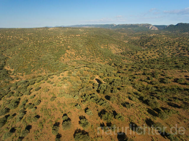 R11982 Extremadura, Nationalpark Monfragüe, Luftaufnahme - Christoph Robiller