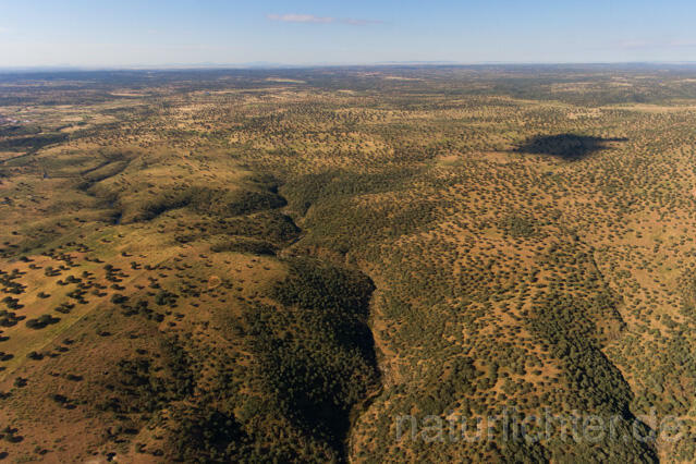 R11986 Extremadura, Nationalpark Monfragüe, Luftaufnahme - Christoph Robiller