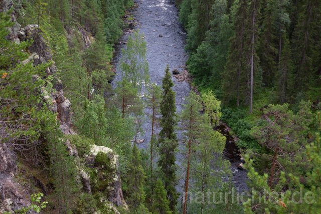 R12131 Oulanka-Nationalpark, Finnland - Christoph Robiller