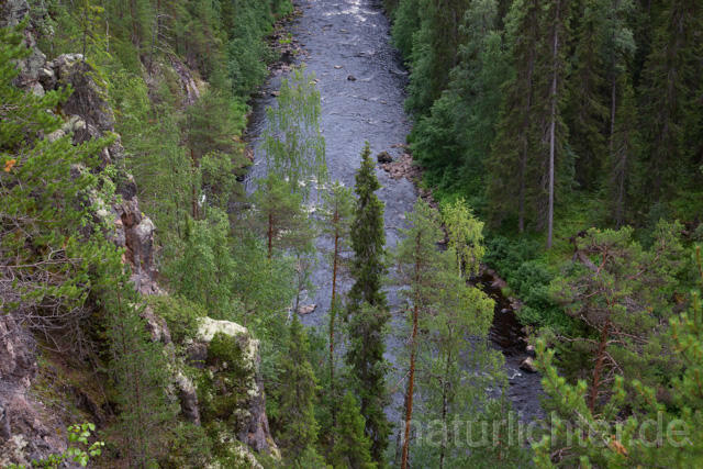 R12131 Oulanka-Nationalpark, Finnland - Christoph Robiller