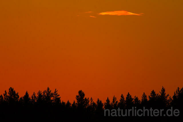 R12248 Sonnenuntergang, Sunset - Christoph Robiller