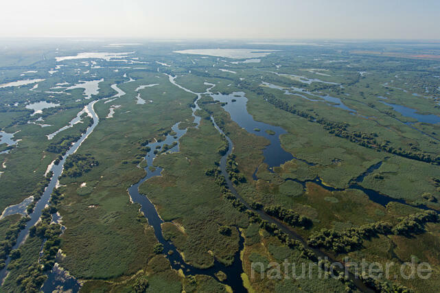 R13022 Donaudelta, Delta Danube, Luftaufnahme - Christoph Robiller